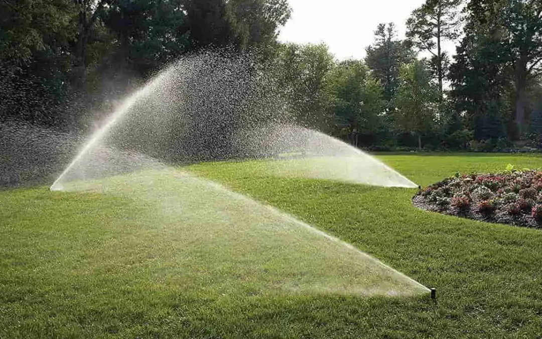 Impianto di irrigazione: come differenziare i settori e scegliere tra irrigatori statici, dinamici e ali gocciolanti