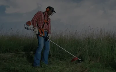 Sfalcio Erba: Come Scegliere i Fili Giusti Per il Decespugliatore e Ottenere un Prato Perfetto